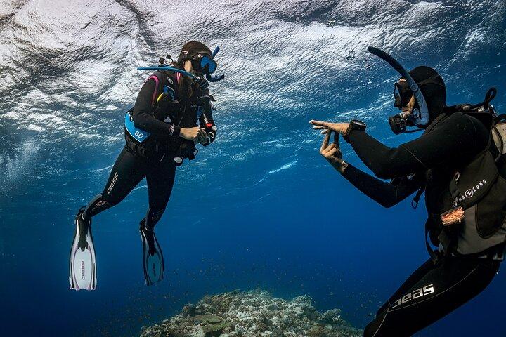 Divulgação (Double Tank) – Reefs, Wrecks & Caves of Paros