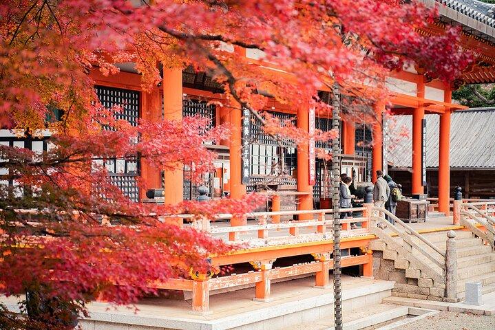 Osaka Halbtagestour mit einem Experten Ortskundiger Reiseleiter