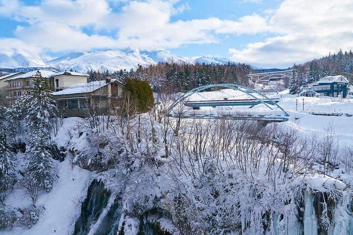 旭山動物園、クリスマスツリー フェアリーテラス日帰りツアー｜北海道