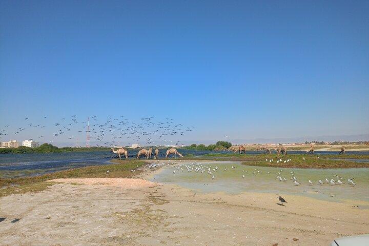 Cidade de Salalah 4WD Tour Adventure