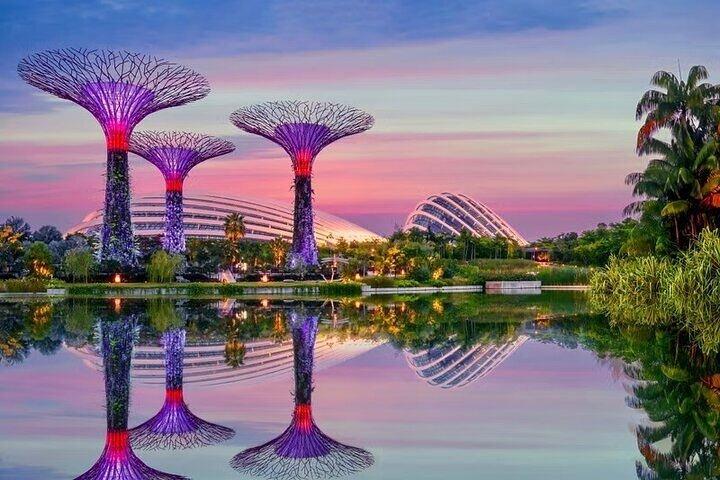 Gardens by the Bay E - Entrada con Flower Dome + CF Singapore