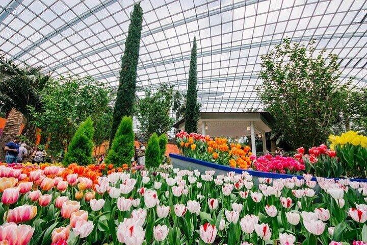 Gardens by the Bay E - Entrada con Flower Dome + CF Singapore