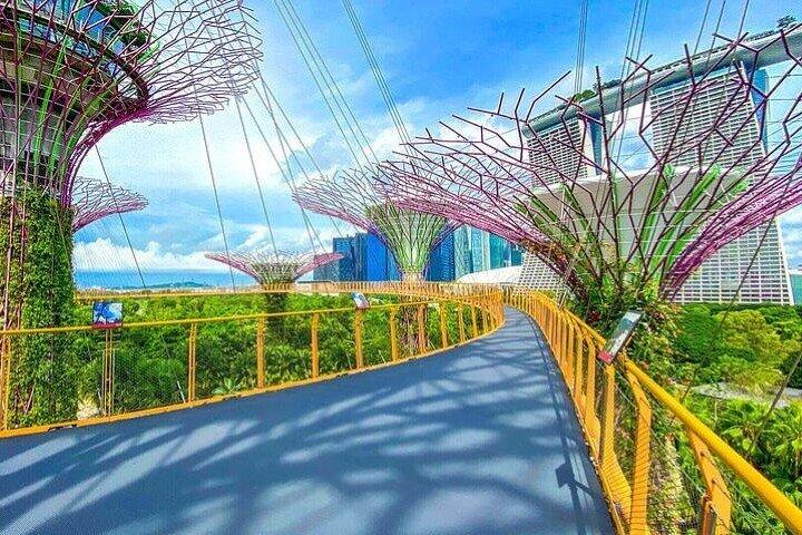 Gardens by the Bay E - Entrada con Flower Dome + CF Singapore