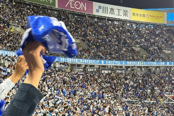 Catch a Baseball Game in Tokyo with a Local - Tickets Included