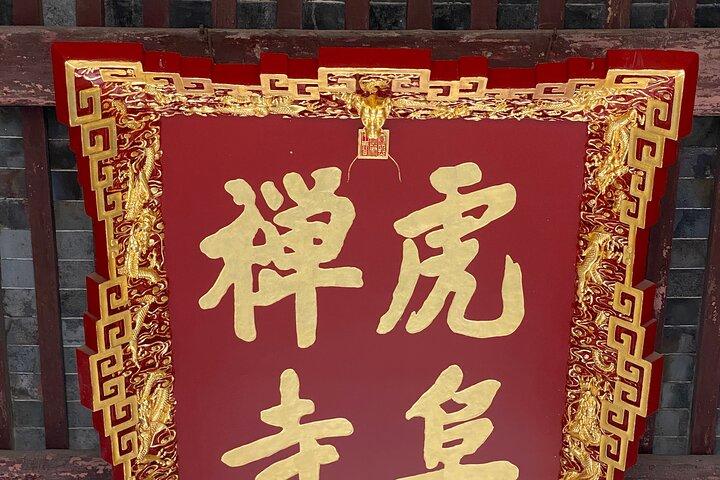 Scopri i giardini cinesi classici in un tour di un giorno a Suzhou da SH