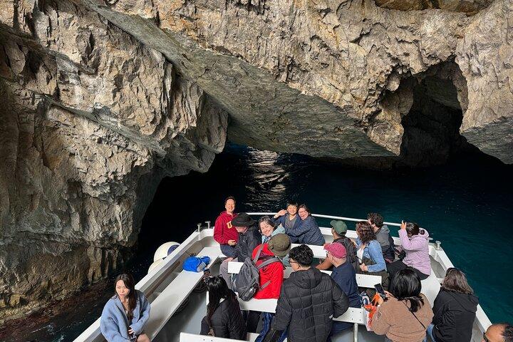 From Sorrento: Capri and Anacapri tour with Faraglioni cruise