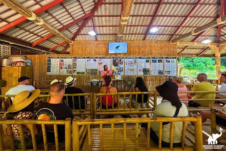 Phuket: Hidden Forest Elephant Reserve Guided Tour with Lunch