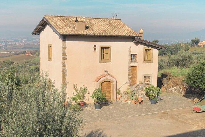 Frascati Day Tour: Road from Rome with Wine Tasting & Lunch