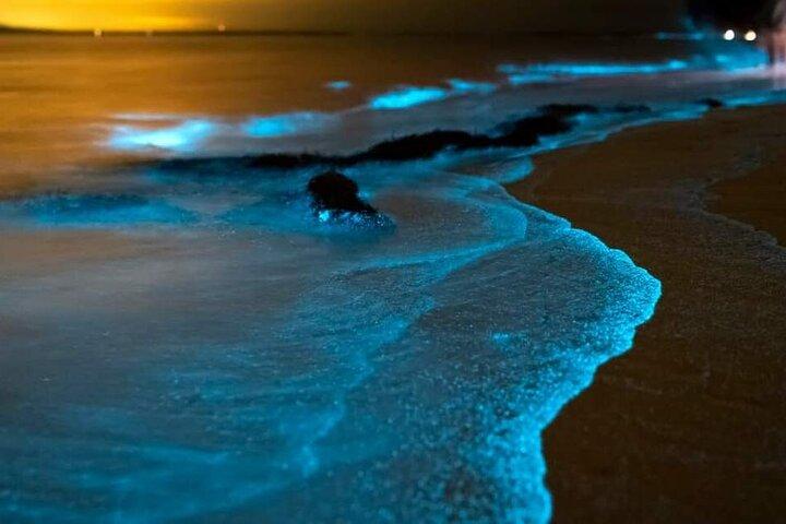 Plancton bioluminiscente, canoas marinas y puesta de sol en James Bond Island