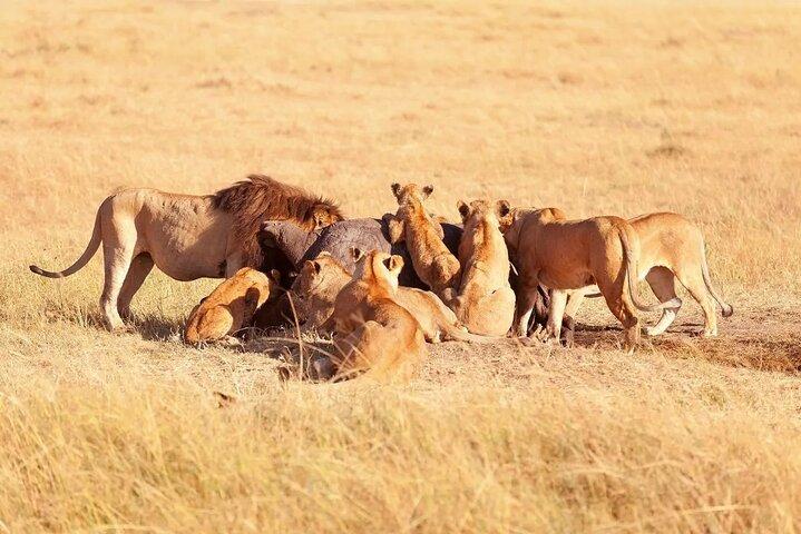 Tour privato di 2 giorni al Parco Nazionale del Lago Nakuru
