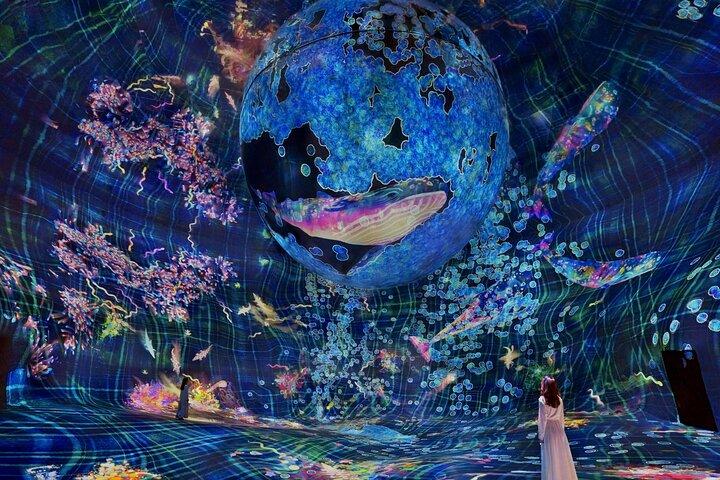 teamLab Phenomena Ticket