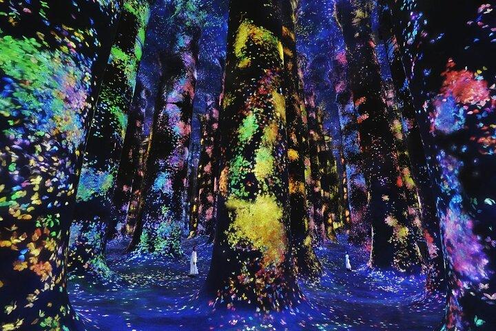 teamLab Phenomena Ticket