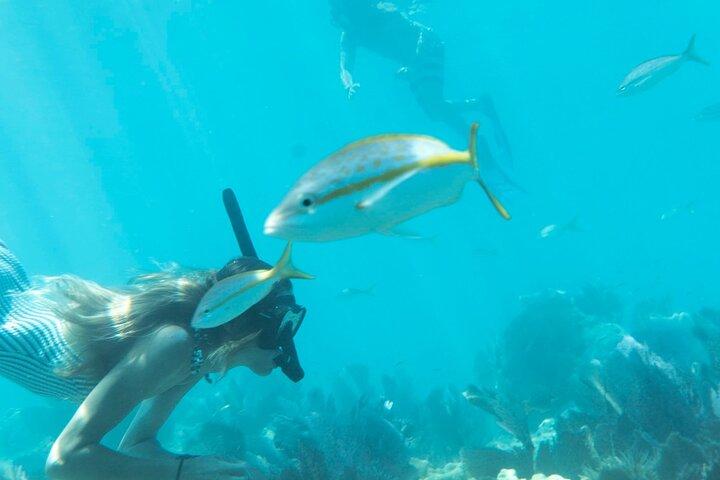 Key West : Sunset Sail + Reef Snorkel & Sandbar