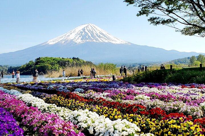 東京発富士山＆箱根プライベート日帰り旅行（英語ガイド付き）
