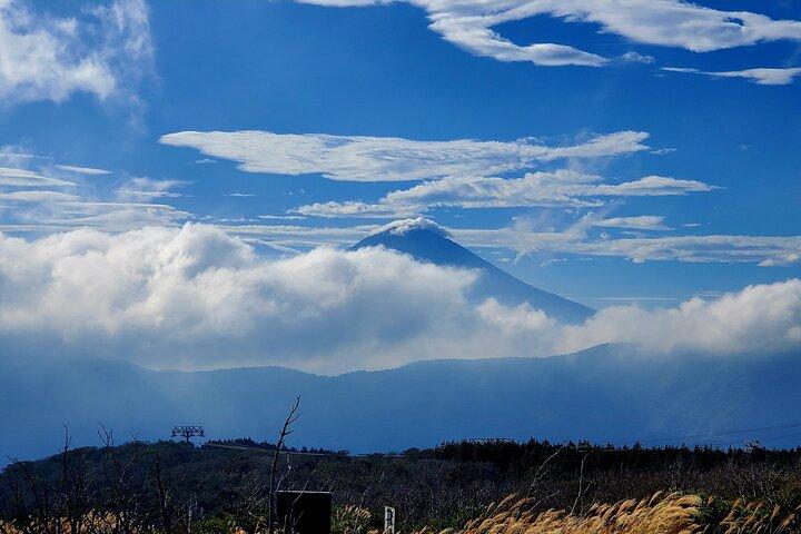 Hakone Full-Day Private Tour from Tokyo (Customizable)