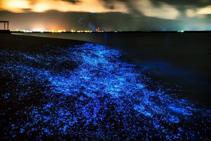 生物発光プランクトン、シーカヌー＆ジェームズボンド島のサンセット
