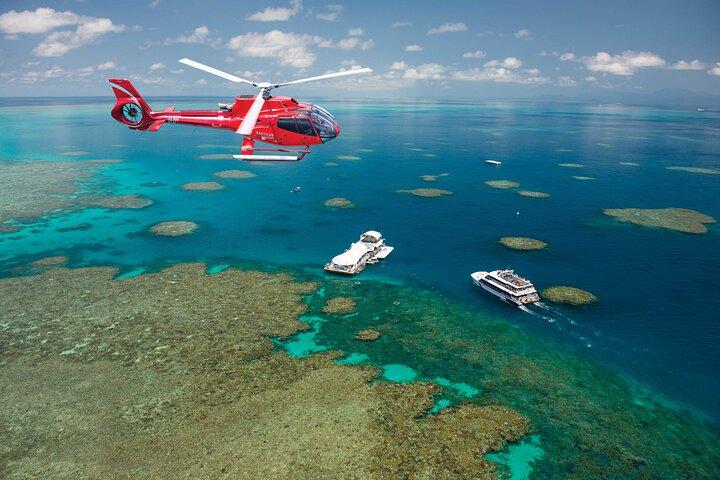 Ganztägige Great Barrier Reef Tour und 10-minütiger Rundflug