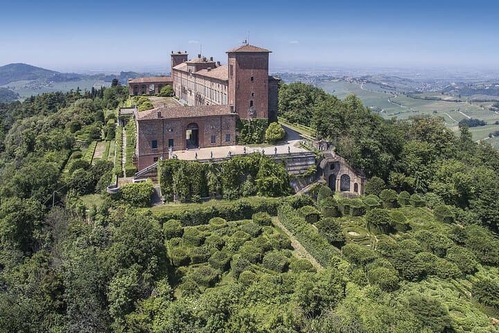 Vineyards in Summer Milan’s Perfect Wine Tasting & Lunch