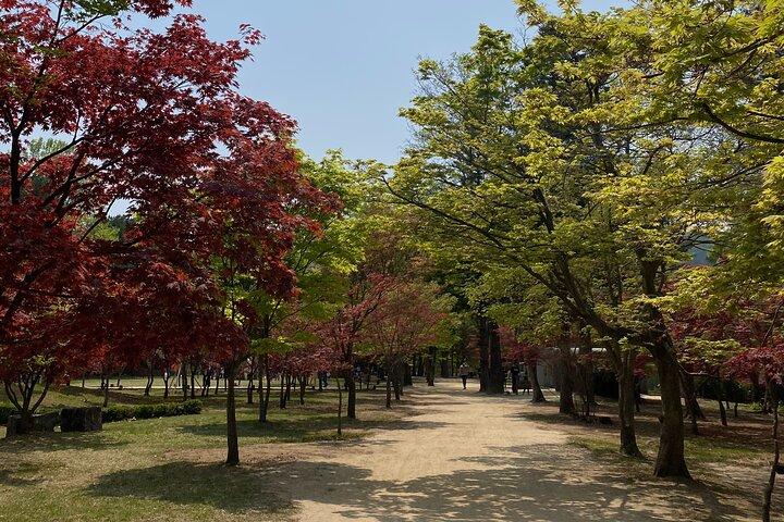 [Visite privée] Nami Island+Matin calme Jardin+Petite France