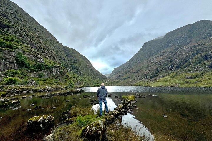 Tour fotografico condiviso di un'intera giornata al Parco nazionale di Killarney