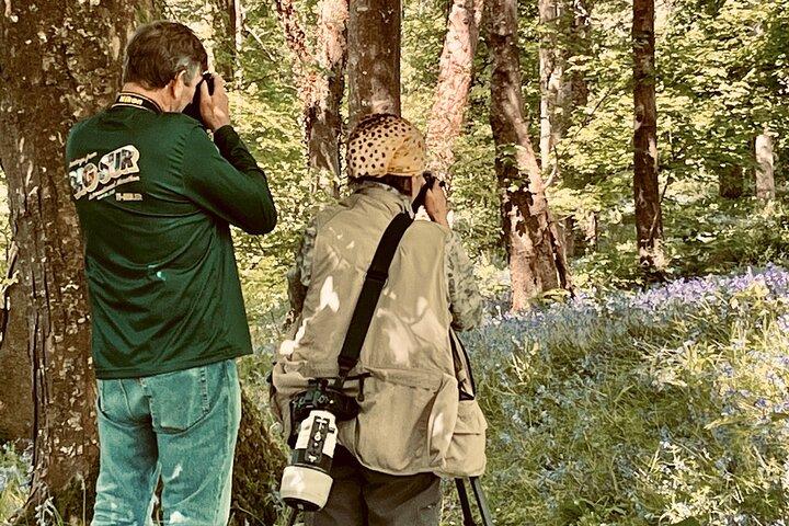 Tour fotografico condiviso di un'intera giornata al Parco nazionale di Killarney