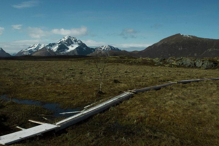 Privat minivandring Leknes skärgård