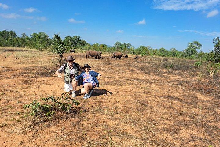 Rhino Walking Safari