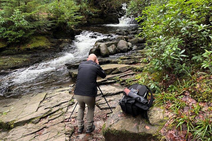 Visite guidée de photographie partagée d'une demi-journée au parc national Killarney