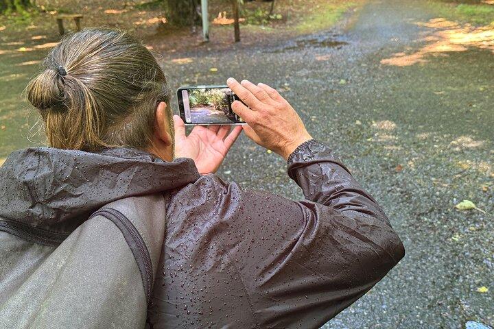 Visite guidée de photographie partagée d'une demi-journée au parc national Killarney