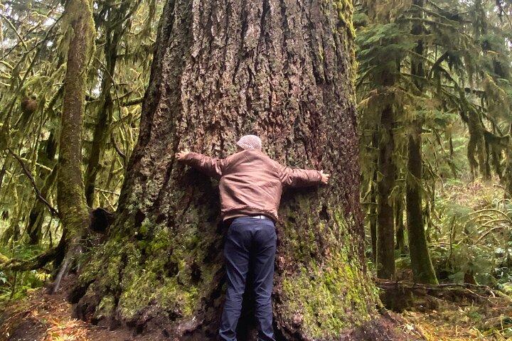 Seattle: Foresta pluviale, spiaggia e Parco Nazionale Olimpico