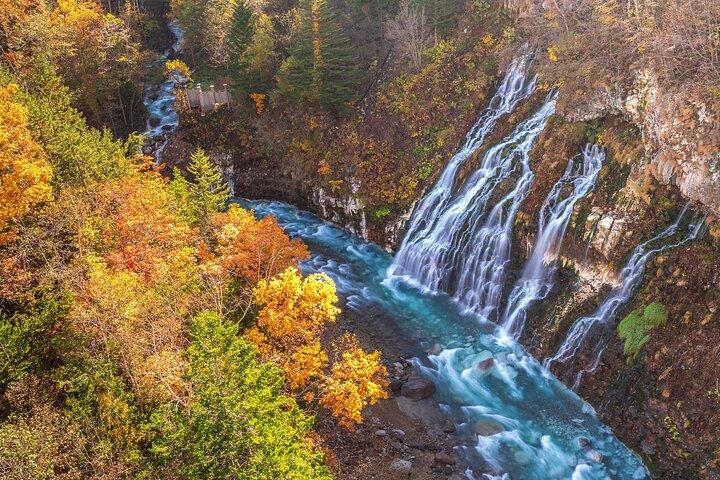 Asahiyama Zoo, Biei Blue Pond & Shirogane Falls Tour från Sapporo