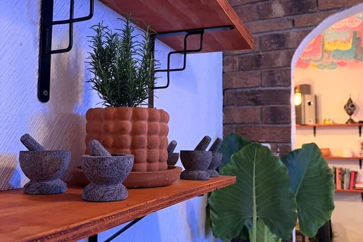 Mexican Mixology Workshop with Panoramic View in Coyoacán