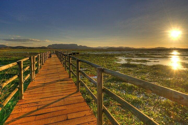 Palo Verde National Park - en vild smag af Costa Rica