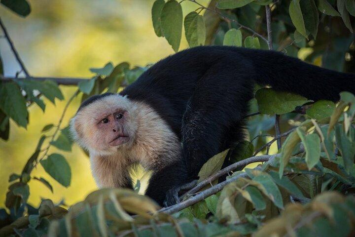 Palo Verde National Park - en vild smag af Costa Rica