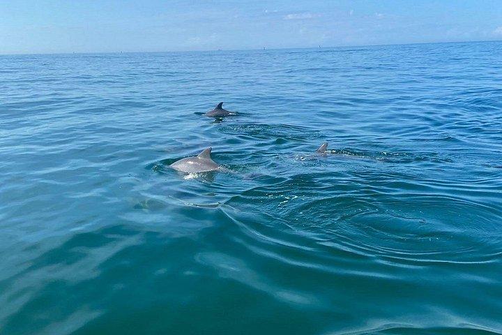 Private Panama City Beach Sunset Tour