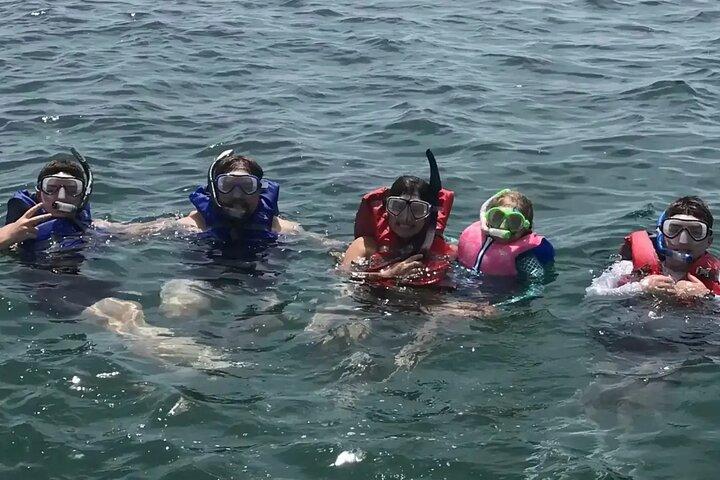 Simma med delfiner och snorkling grupptur