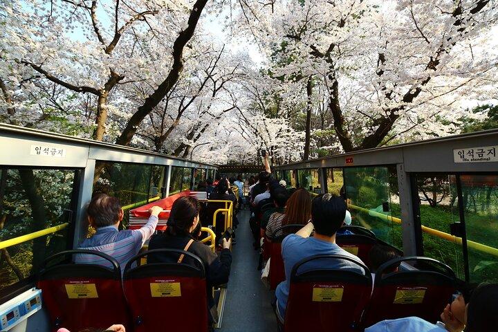 Sydkorea: Upptäck Seoul Pass