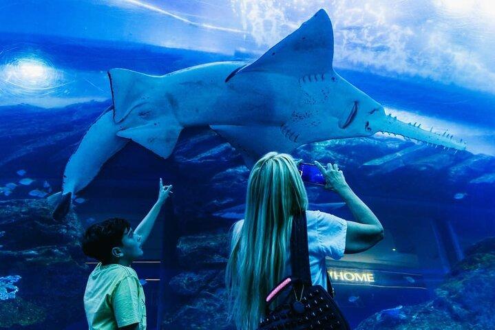 Burj Khalifa, Dubai Aquarium og Underwater Zoo