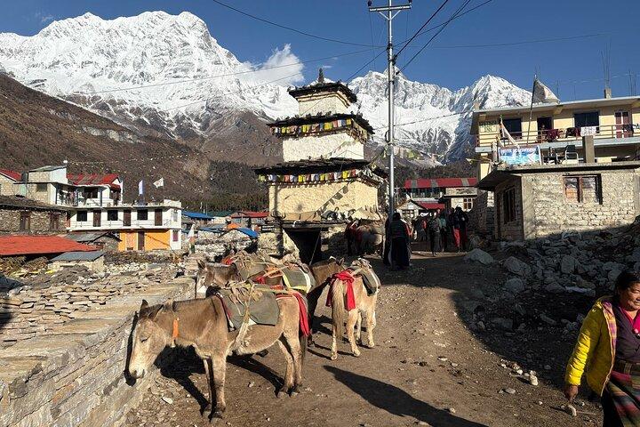 Manaslu Tsum Valley Trek 21 Tage