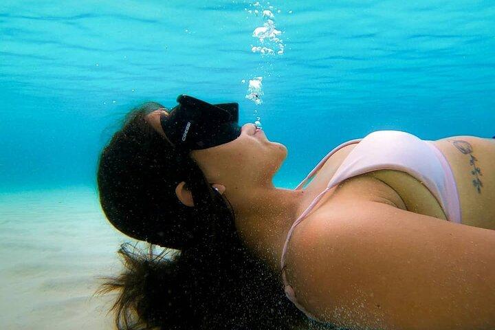 De beste snorkel in Cozumel Cielo vanaf Playa del Carmen