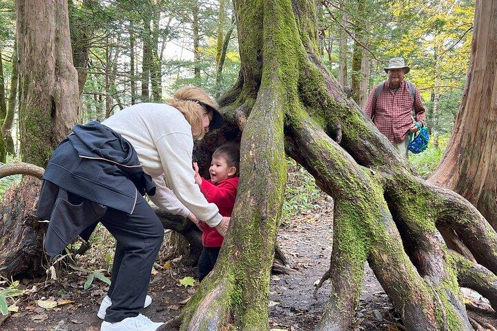 Japan Alps [Kamikochi Day Tour] | Rundtur fra Nagoya