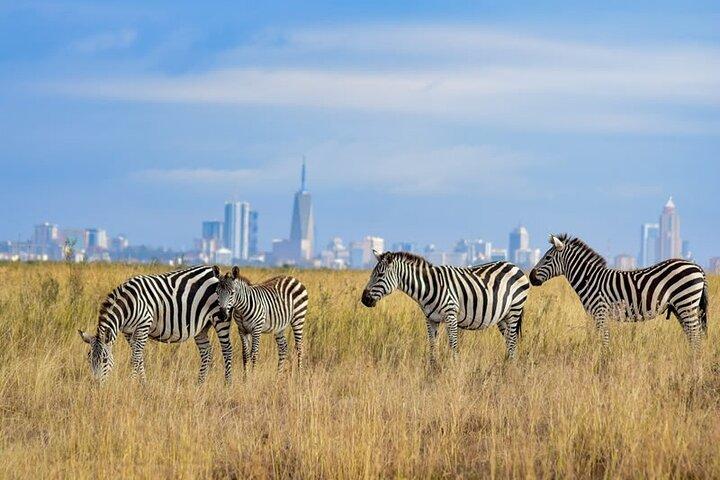 Tour compartido de Bomas de Kenia con transporte