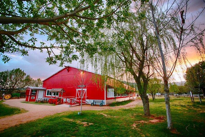 Chuck Wagon Supper & Western Stage Show à Blazin' M Ranch Ticket