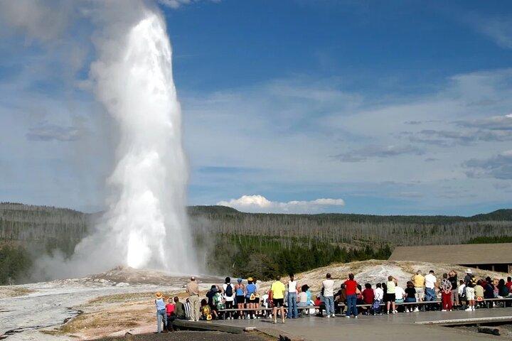 Private Yellowstone fuld dagstur fra Jackson Hole