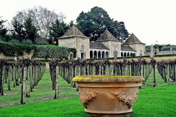 Private Weinprobe