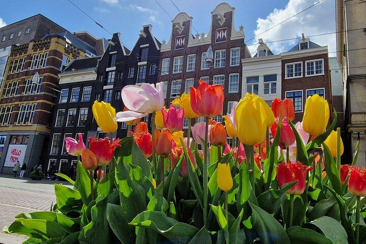 Amsterdam Selvguided Walking Route af højdepunkter og skjulte perler