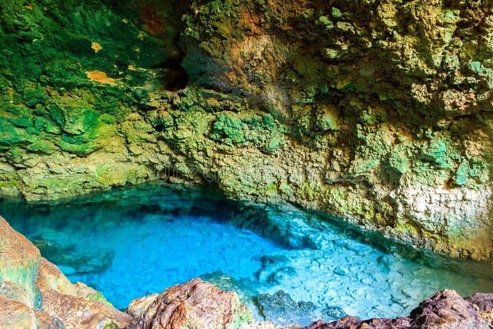 Jozani Forest ,Kuza Cave,Paje beach&the Rock Private Tour
