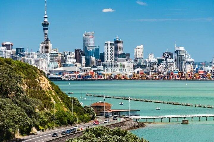 Visite d’une demi-journée à Auckland – La ville des voiles découverte