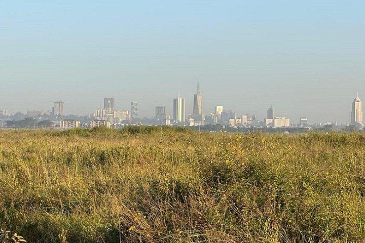 ナイロビ発4WDによる3日間マサイマラグループサファリ
