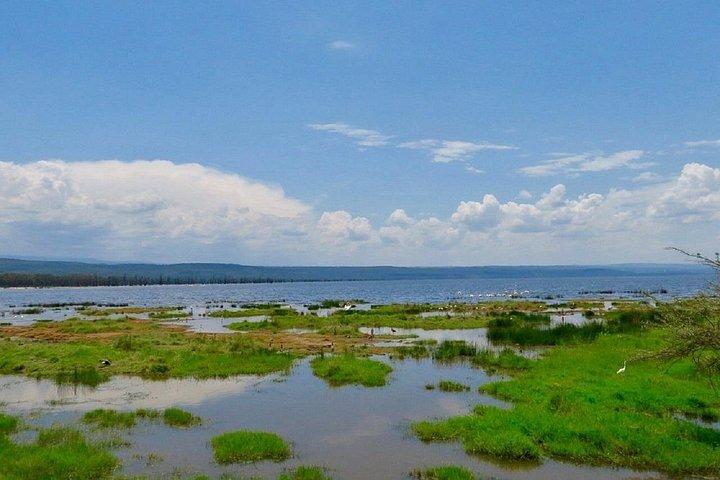 ナクル湖国立公園日帰りツアーとナイバシャ湖遊覧船